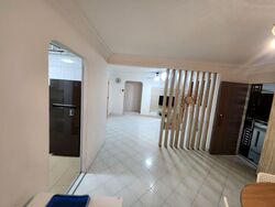 Blk 876 Tampines Spring (Tampines), HDB 4 Rooms #567178031